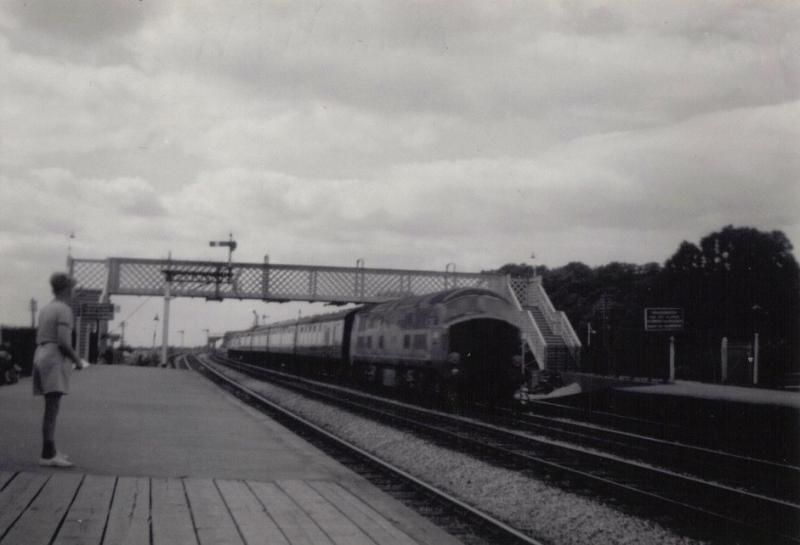 Dawlish warren