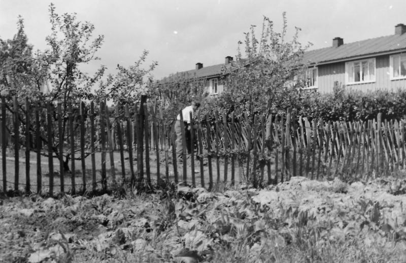 LIFE IN PAGE ROAD CANLEY EARLY 1960'S