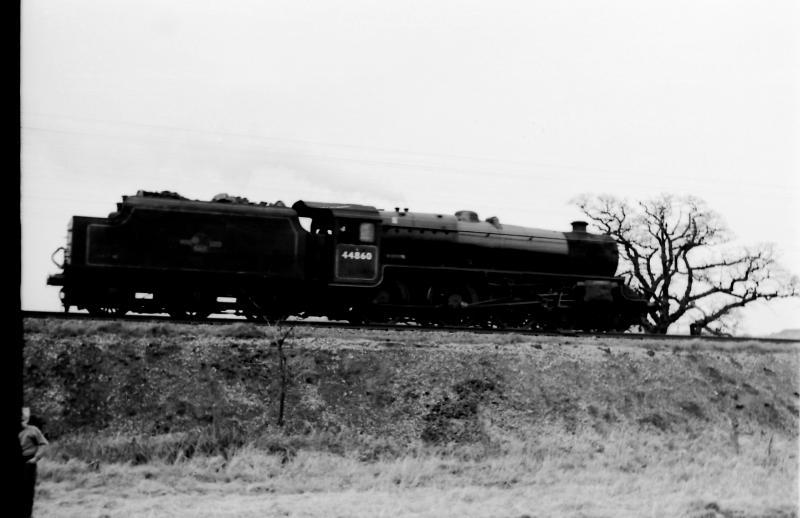 Canley railway embankment